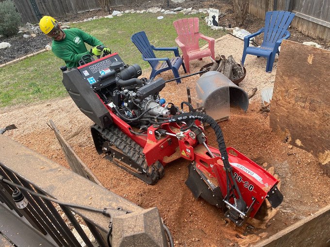 Best home tree lopping services