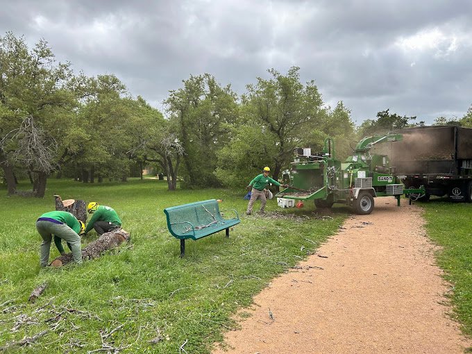 tree cutting services