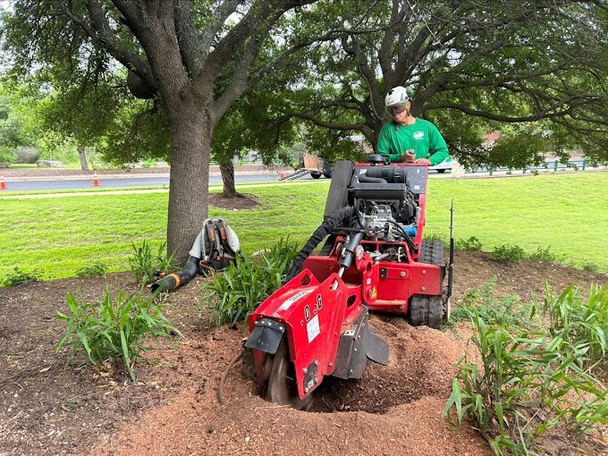 Stump grinding in cedar park