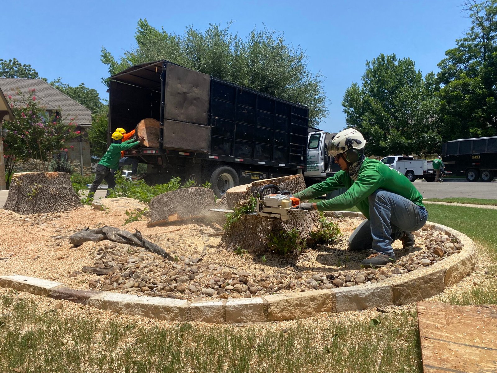 isa certified arborist removing a tree