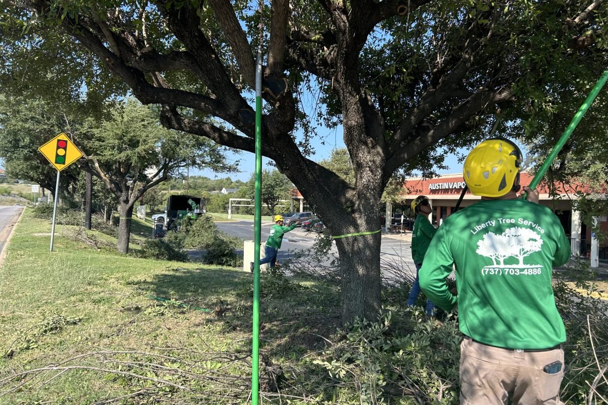 Tree Service Georgetown - Certified Arborist