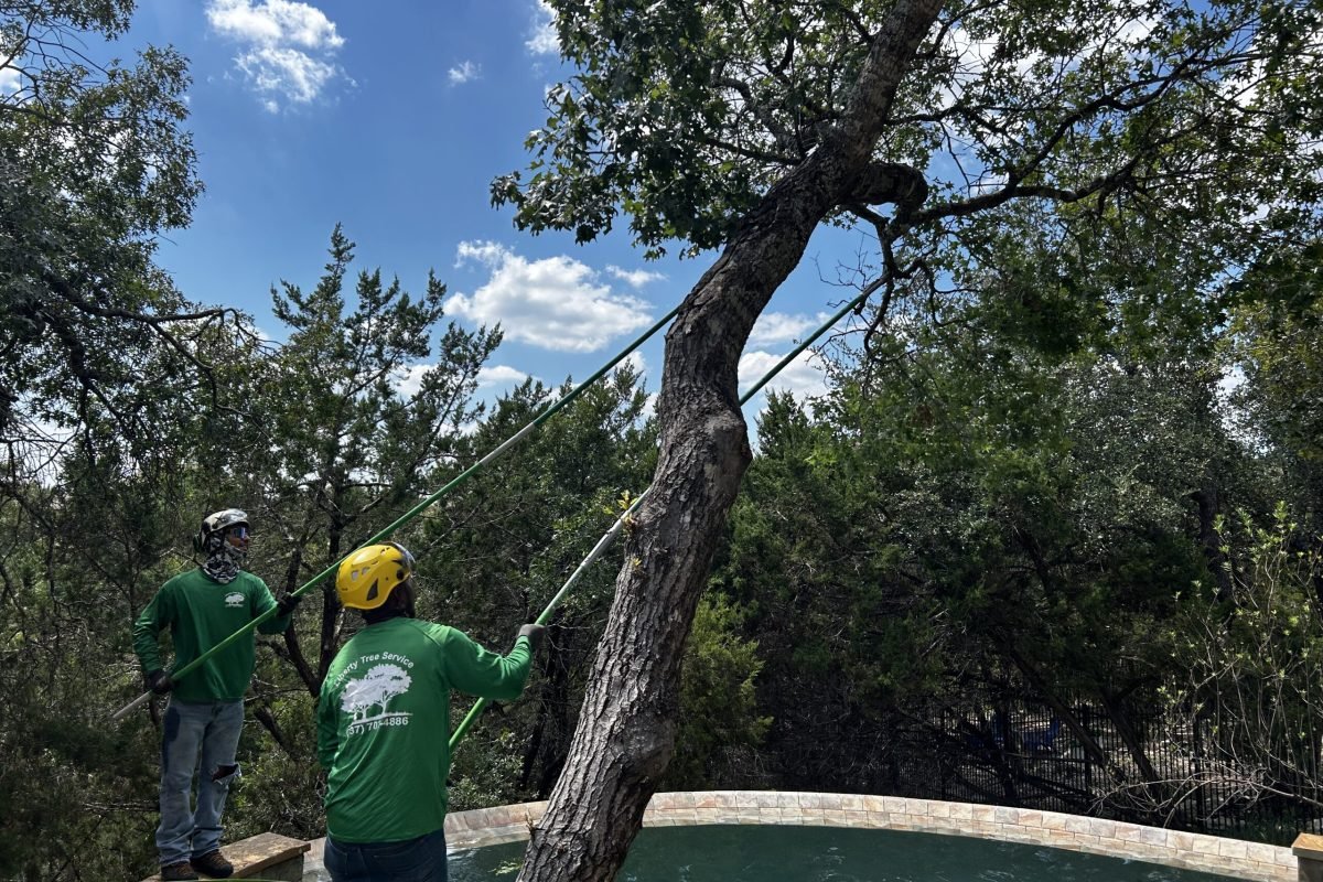 Tree Trimming in Georgetown