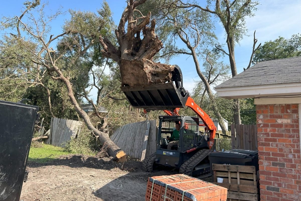 Stump-Removal-scaled.jpeg