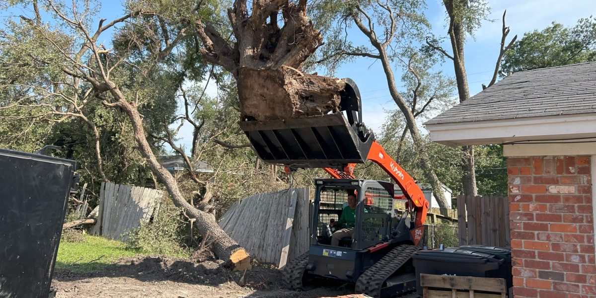 Stump Removal